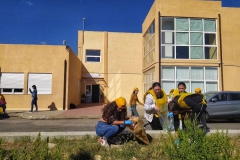Liceo6
