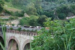 transumanza-24-giugno-2005-029-Copy